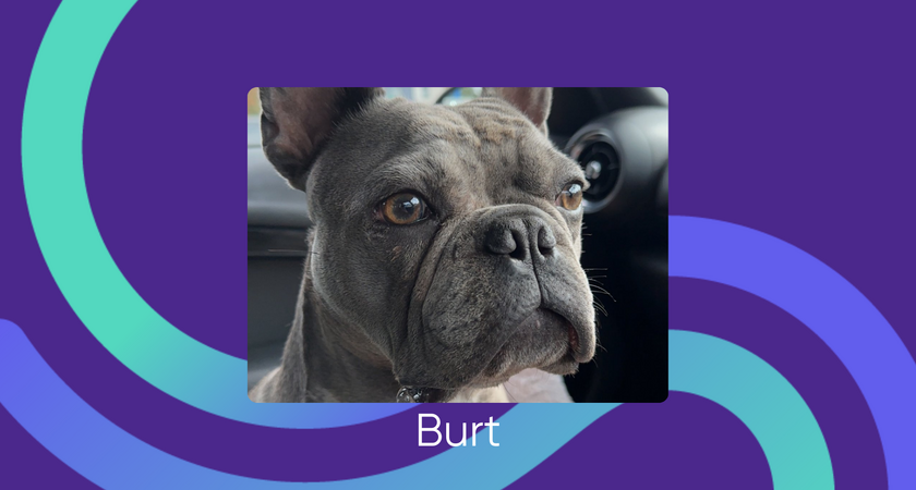 Burt for website