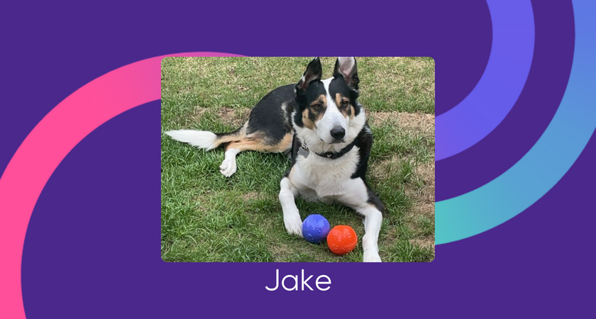 Jake for website