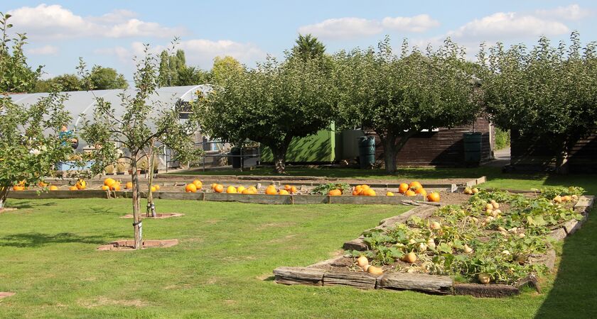 Growing Concern service garden