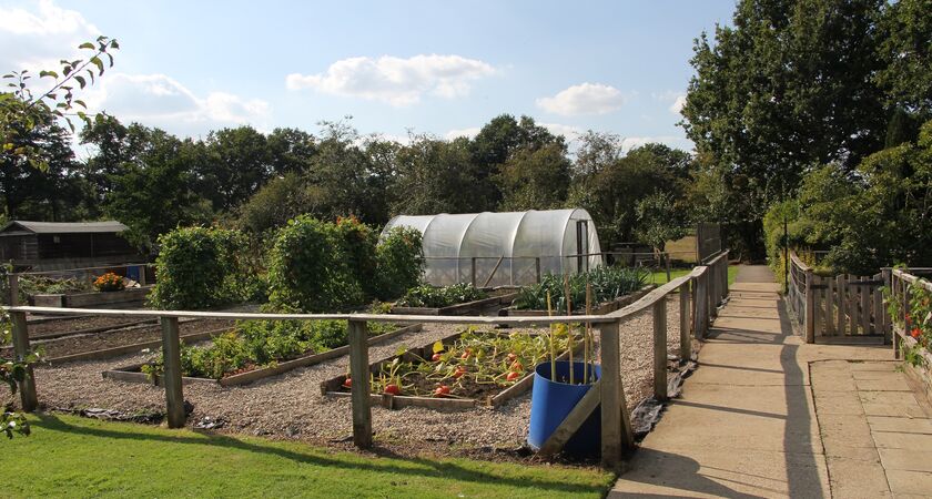 Growing Concern service vegetable plot