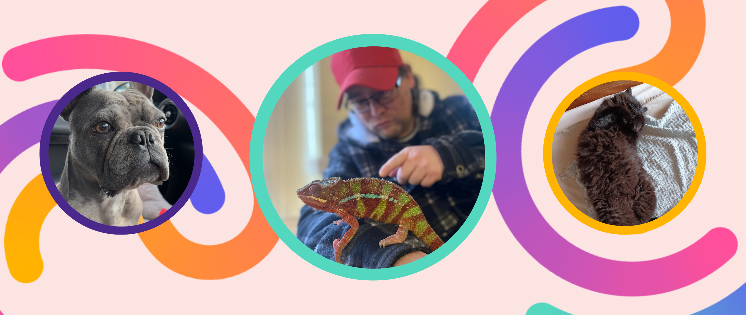 Animal blog banner
